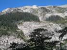sequoianp123_small.jpg