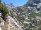 sequoianp125_small.jpg