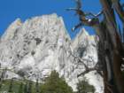 sequoianp134_small.jpg
