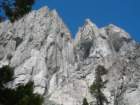 sequoianp135_small.jpg