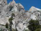 sequoianp136_small.jpg