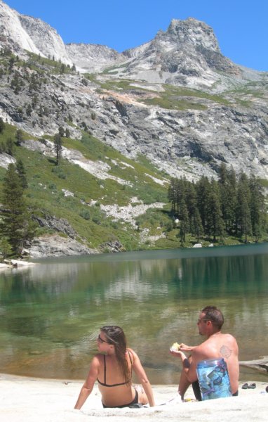 sequoianp138.jpg