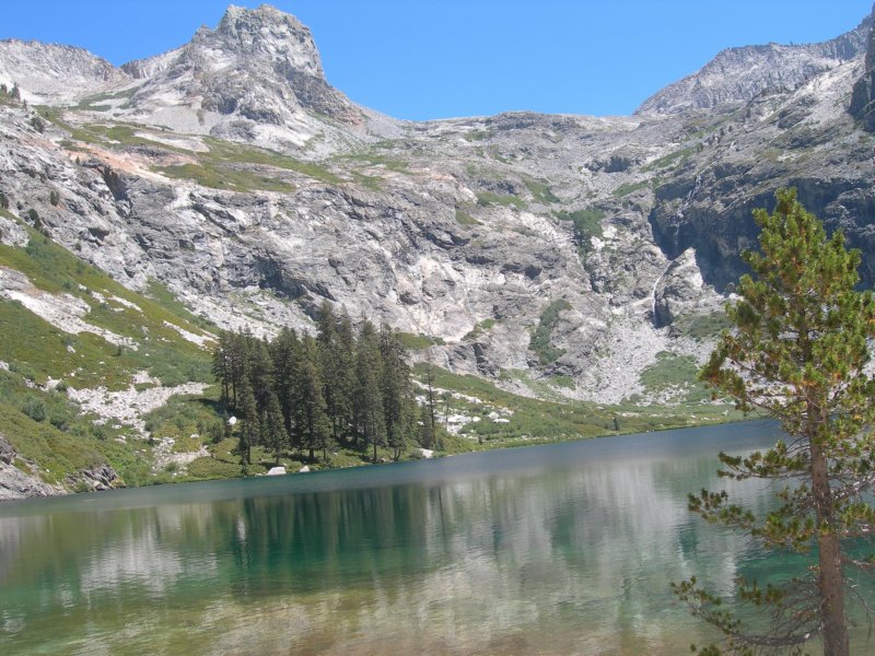 sequoianp140.jpg