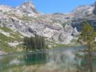 sequoianp140_small.jpg