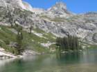 sequoianp145_small.jpg