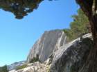 sequoianp161_small.jpg