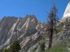 sequoianp164_small.jpg