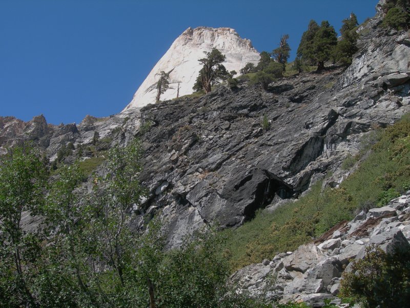 sequoianp166.jpg