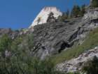 sequoianp166_small.jpg