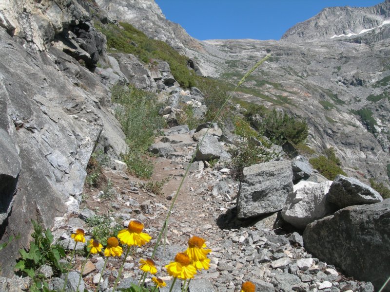 sequoianp173.jpg
