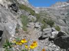 sequoianp173_small.jpg