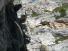 sequoianp178_small.jpg