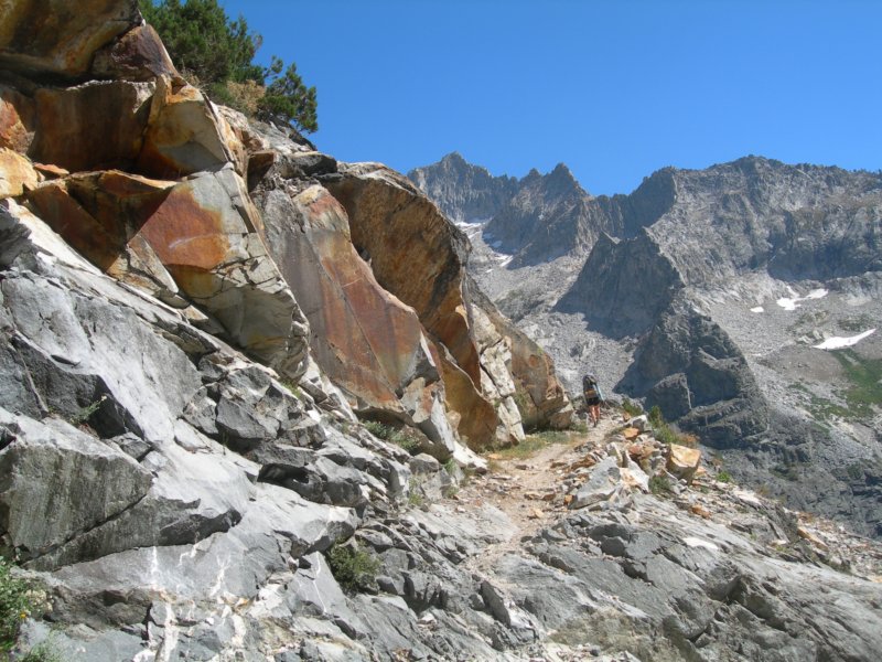 sequoianp180.jpg