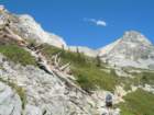 sequoianp182_small.jpg