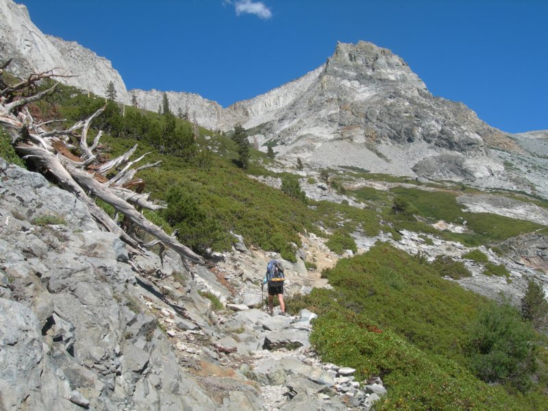 sequoianp183.jpg