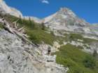 sequoianp183_small.jpg