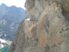 sequoianp189_small.jpg