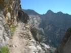 sequoianp190_small.jpg