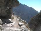 sequoianp192_small.jpg