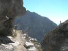 sequoianp193_small.jpg