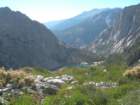 sequoianp204_small.jpg