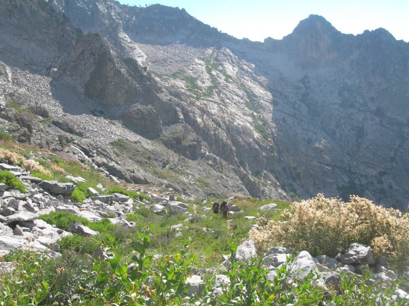 sequoianp205.jpg
