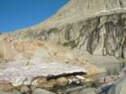 sequoianp216_small.jpg