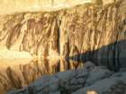 sequoianp219_small.jpg