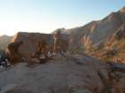 sequoianp223_small.jpg