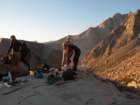 sequoianp224_small.jpg