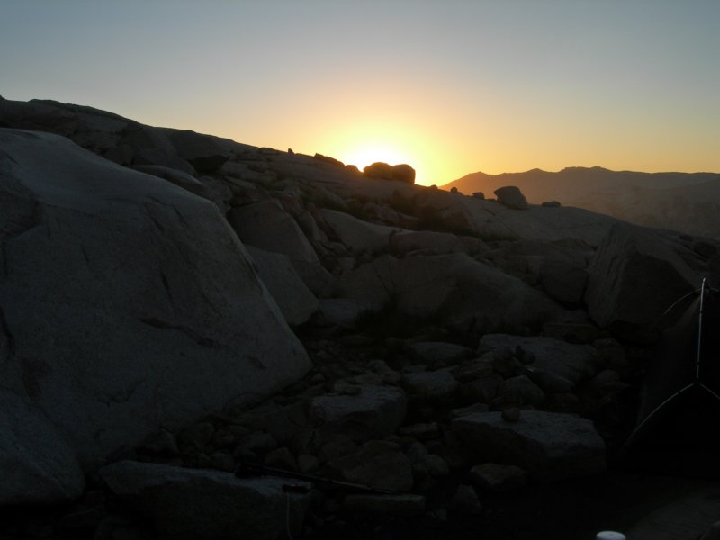 sequoianp225.jpg