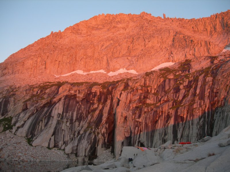 sequoianp230.jpg
