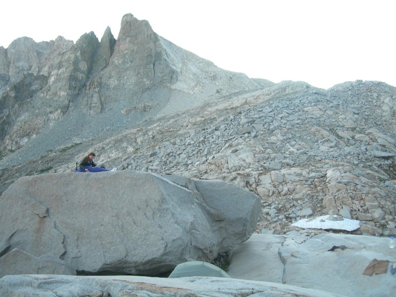 sequoianp242.jpg