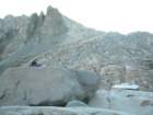 sequoianp242_small.jpg