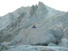 sequoianp243_small.jpg