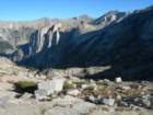 sequoianp257_small.jpg