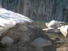 sequoianp261_small.jpg