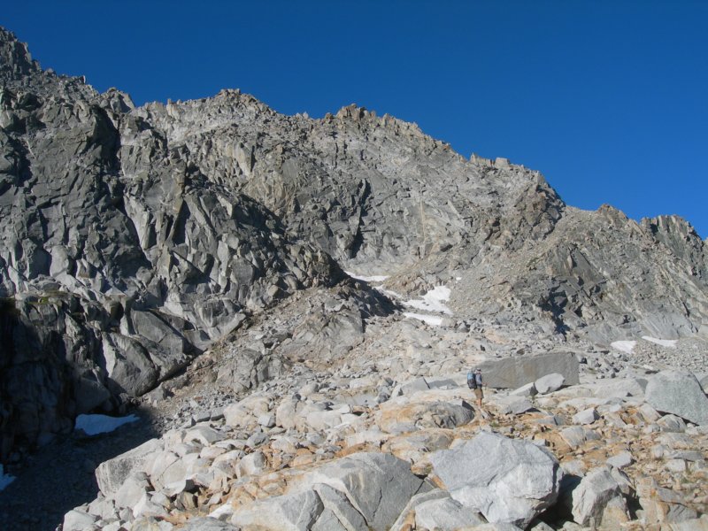 sequoianp262.jpg
