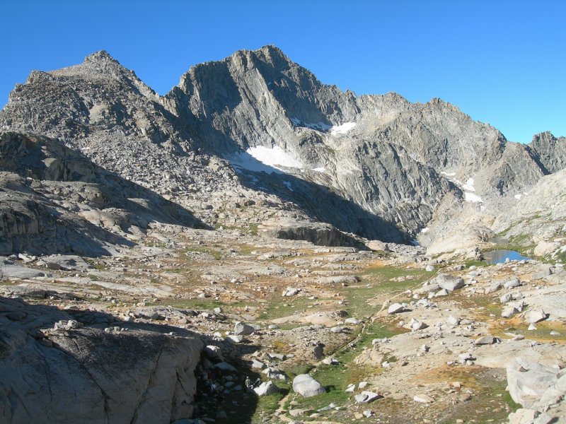 sequoianp270.jpg