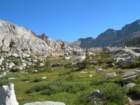 sequoianp277_small.jpg