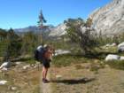 sequoianp279_small.jpg