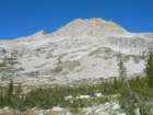 sequoianp281_small.jpg
