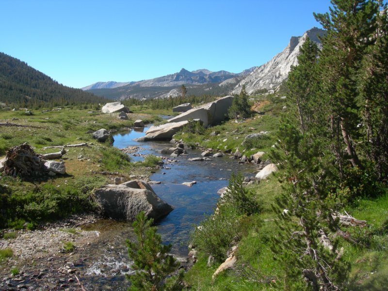 sequoianp284.jpg