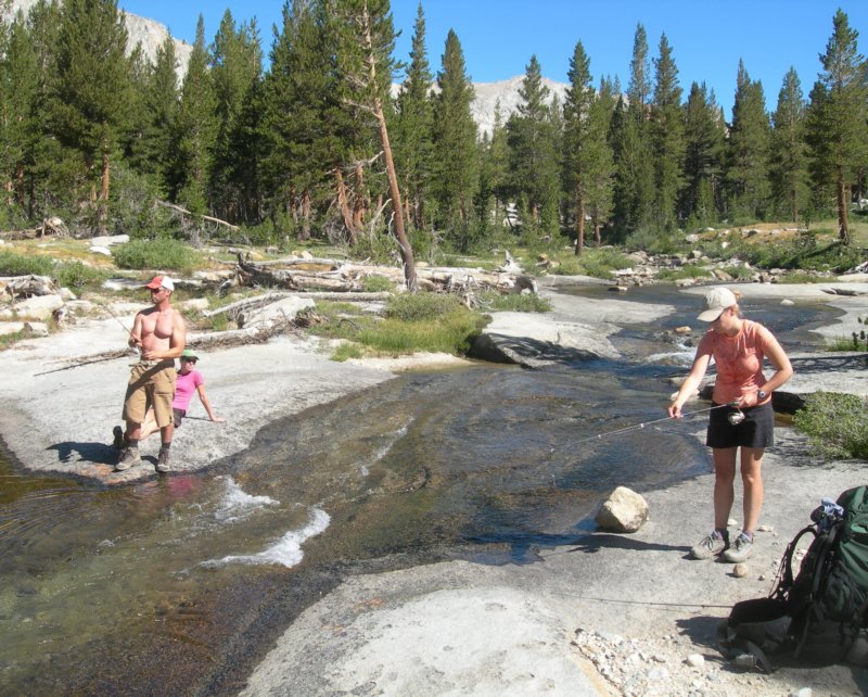 sequoianp285.jpg