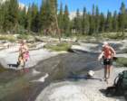 sequoianp285_small.jpg