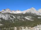 sequoianp296_small.jpg
