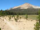 sequoianp317_small.jpg