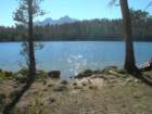 sequoianp332_small.jpg