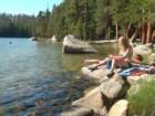 sequoianp334_small.jpg