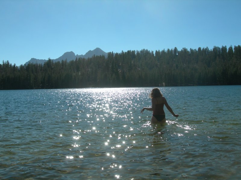 sequoianp336.jpg